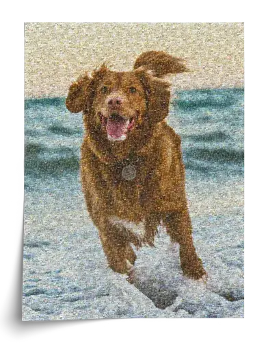 Mosaïque Photo Personnalisée Chien