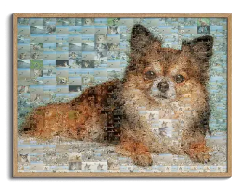 Mosaïque Photo Personnalisée Chien