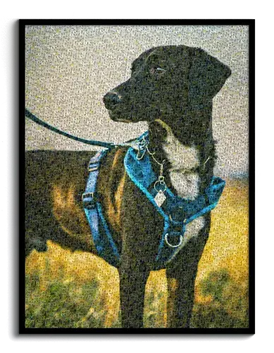 Mosaïque Photo Personnalisée Chien