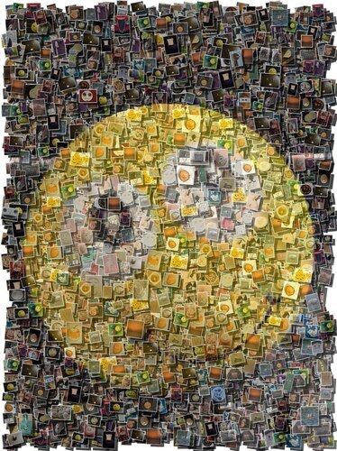 Photo du client Elke pour l'évaluation Photomosaïque [En ligne] en téléchargement