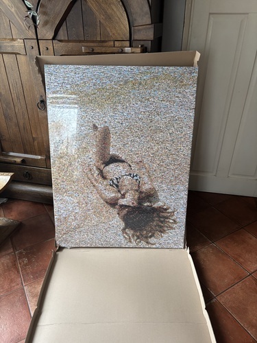 Photo du client Eric pour l'évaluation Impression Photomosaïque [En ligne] Toile 90x120cm